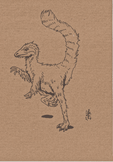 dinosaurs-vi-sinosauropteryx-2025-a5